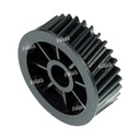 Gear [Ricoh - Original] 31T (Revelado) 