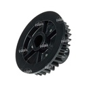 Gear [Ricoh - Original] 31T c/cuello - (Revelado) 