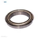 Rodaje [Ricoh - Original] Plata (Rodillo Calor ) 