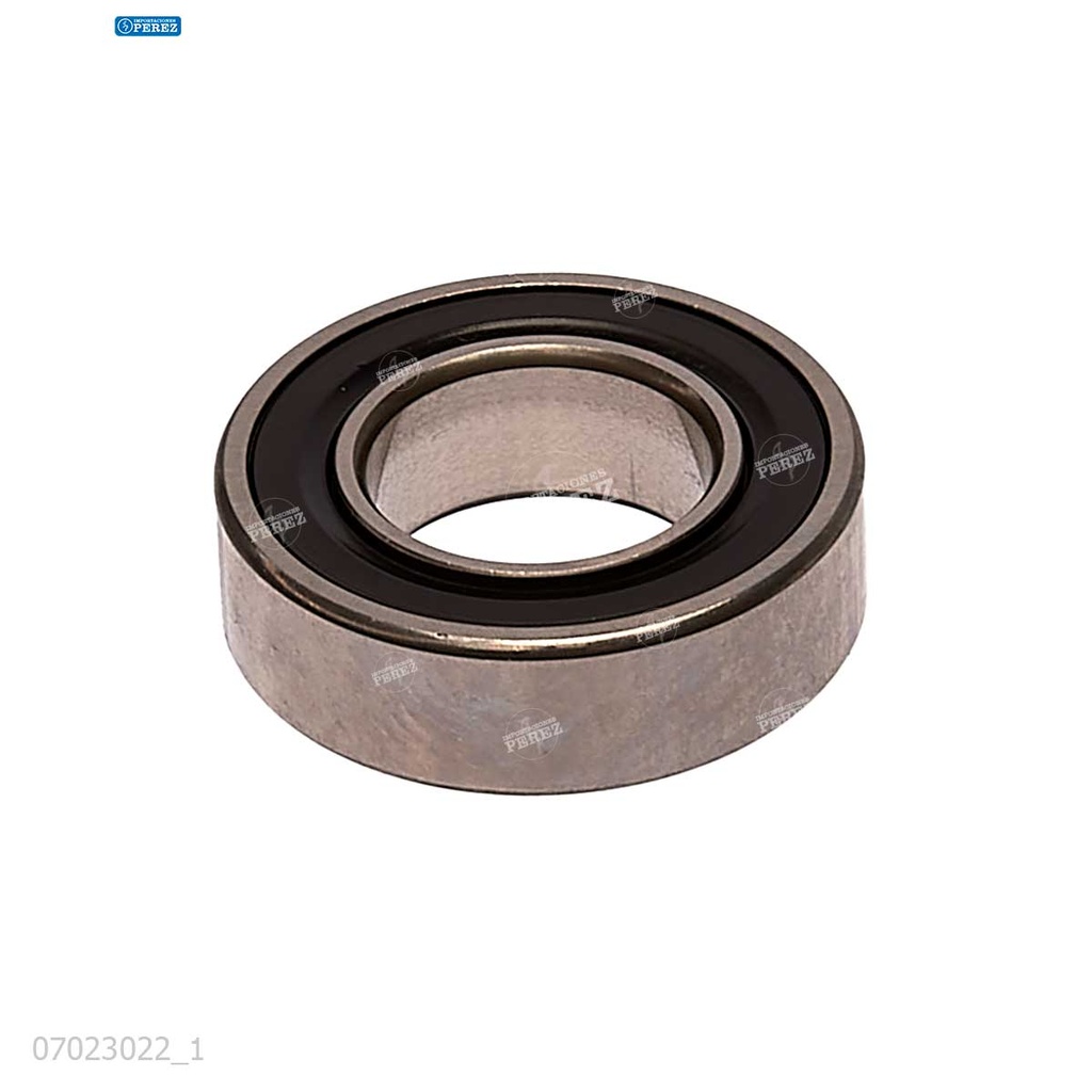 Rodaje [Ricoh - Original] Plata (Rodillo Magnetico) 