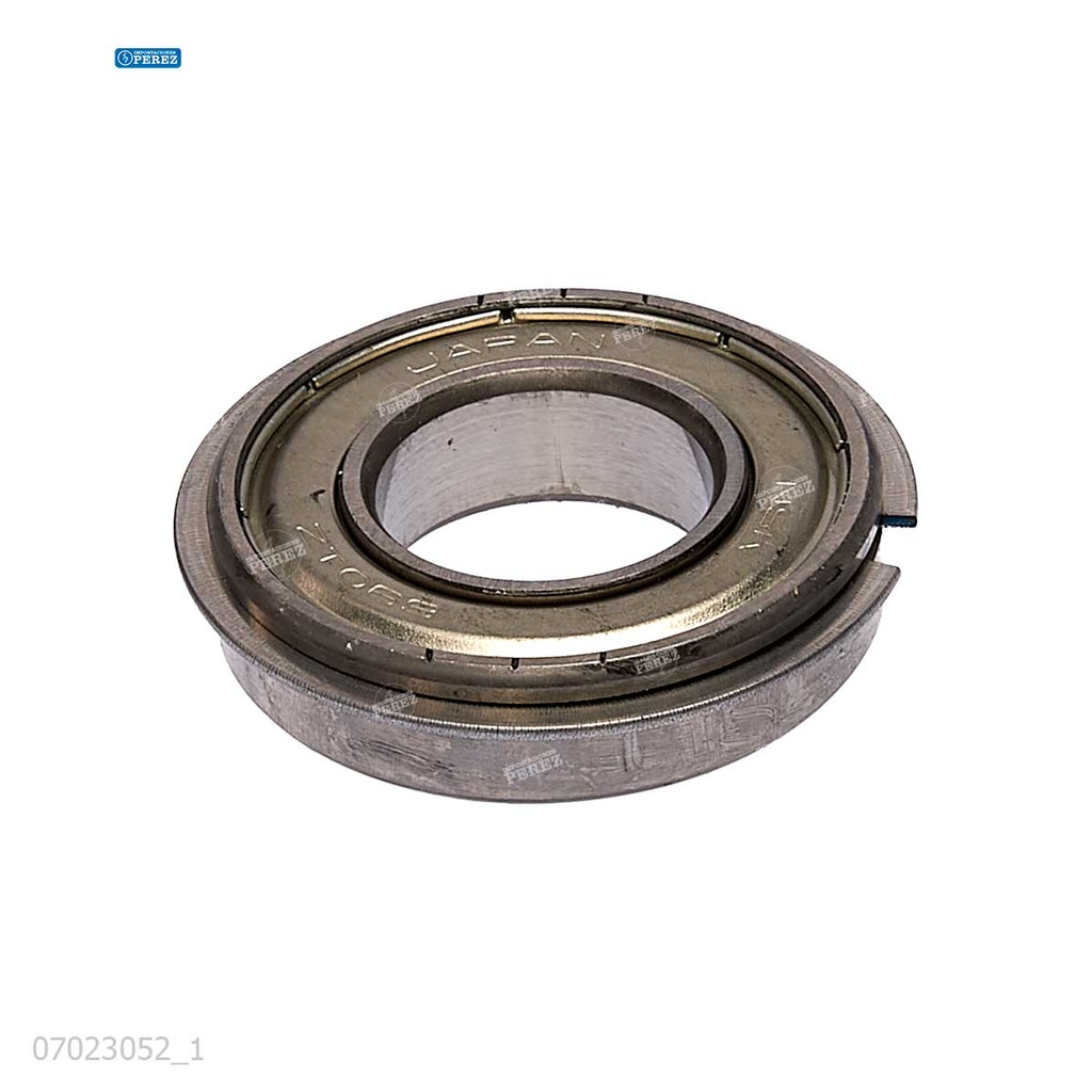 Rodaje [Ricoh - Original] Plata (Fusor) 