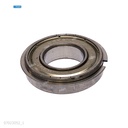 Rodaje [Ricoh - Original] Plata (Fusor) 