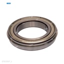 Rodaje [Ricoh - Original] Plata (Rodillo Calor ) 