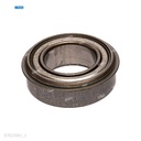 Rodaje [Ricoh - Original] Plata (Rodillo Calor) 