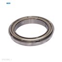 Rodaje [Ricoh - Original] Plata (Rodillo Calor Auxiliar) 