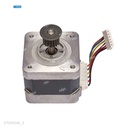 Motor [Ricoh - Original] 64v/6.3w Negro (Dúplex) 