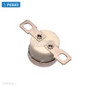 Thermostato [Ricoh - Original] 160° Negro (Fusor) 