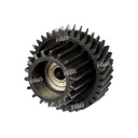 Gear Revelado 23/36T [Dki]