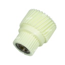 Gear [Dki] 31/31T (Motor Revelado) 