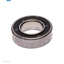 Rodaje [Ricoh - Original] Plata (Rodillo Magnetico) 