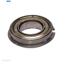 Rodaje [Ricoh - Original] Plata (Fusor) 