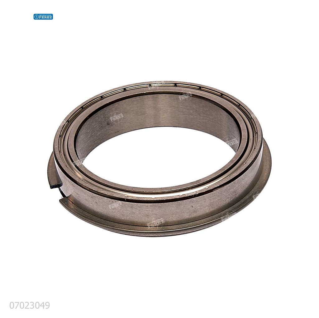 Rodaje [Ricoh - Original] Plata (Rodillo Calor) 