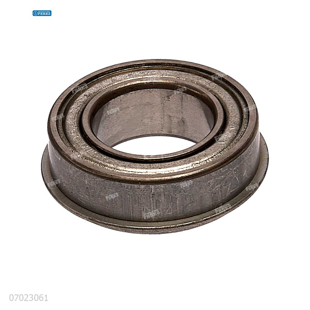 Rodaje [Ricoh - Original] Plata (Rodillo Calor) 