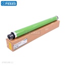 Cilindro GPR36 [Image]